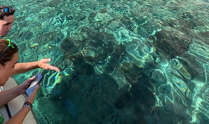paseos en barco por Cabo de Gata
